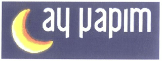 AY YAPIM logo