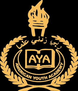 AYA AMERICAN YOUTH ACADEMY logo