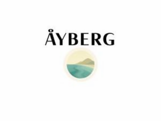 AYBERG logo