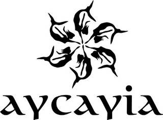 AYCAYIA logo