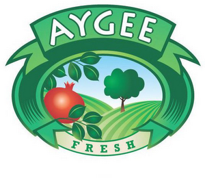 AYGEE FRESH logo