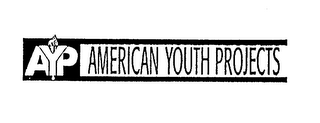 AYP AMERICAN YOUTH PROJECTS logo