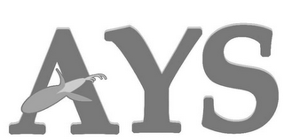 AYS logo