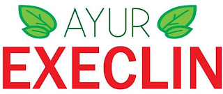 AYUR EXECLIN logo