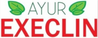 AYUR EXECLIN logo