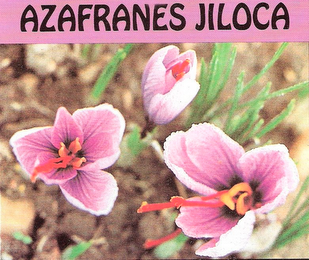 AZAFRANES JILOCA logo