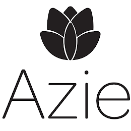 AZIE logo