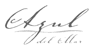 AZUL DEL MAR logo