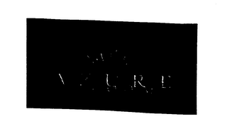 AZURE BLOOM logo