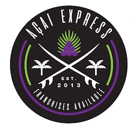 AÇAI EXPRESS FRANCHISES AVAILABLE EST. 2013 logo