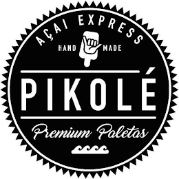 AÇAI EXPRESS HAND MADE PIKOLÉ PREMIUM PALETAS logo