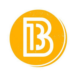 B 13 logo