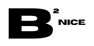 B 2 NICE logo
