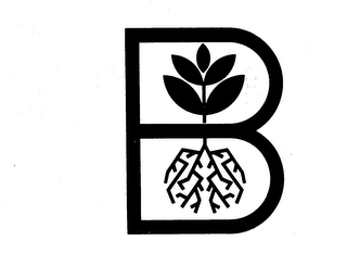 B logo