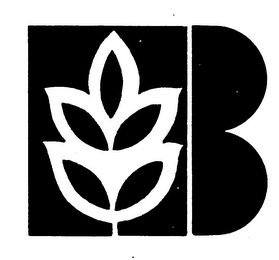 B logo