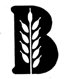 B logo