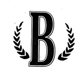 B logo