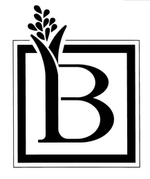 B logo