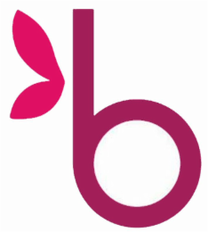 B logo