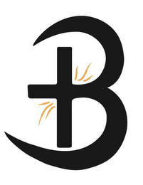 B logo