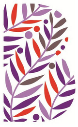 B logo