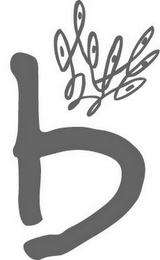 B logo
