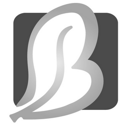B logo