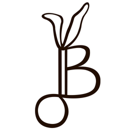 B logo