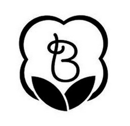 B logo