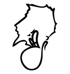 B logo