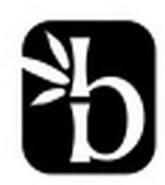 B logo