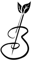 B logo