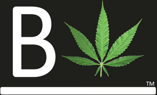 B logo