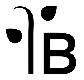 B logo