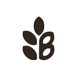 B logo