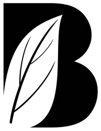 B logo