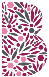 B logo