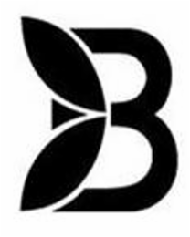 B logo