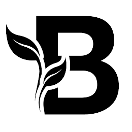 B logo