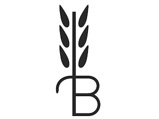 B logo