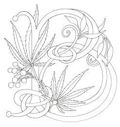 B logo