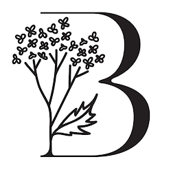 B logo