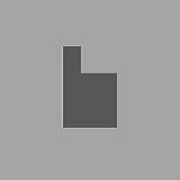 B logo