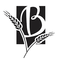 B logo