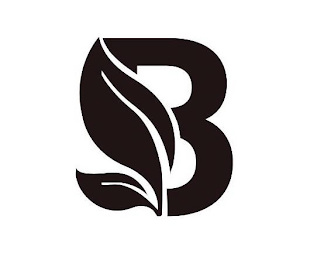 B logo
