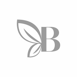 B logo