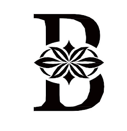 B logo