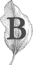 B logo