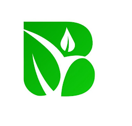 B logo