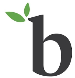 B logo